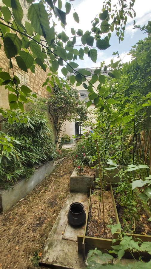 La Maison De Louise Chinon #Chateaux #Vignobles Exterior foto